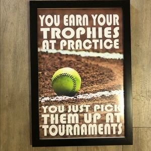 Like new softball poster and frame